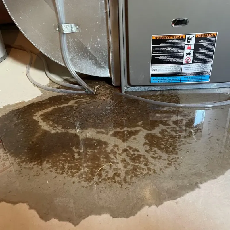 Pipe Burst and Leak Restoration in Monserrate, PR